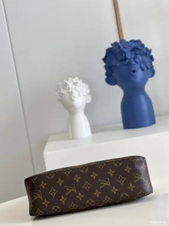 WIS looping bag-24x21x9cm Vuitton Louis 0624